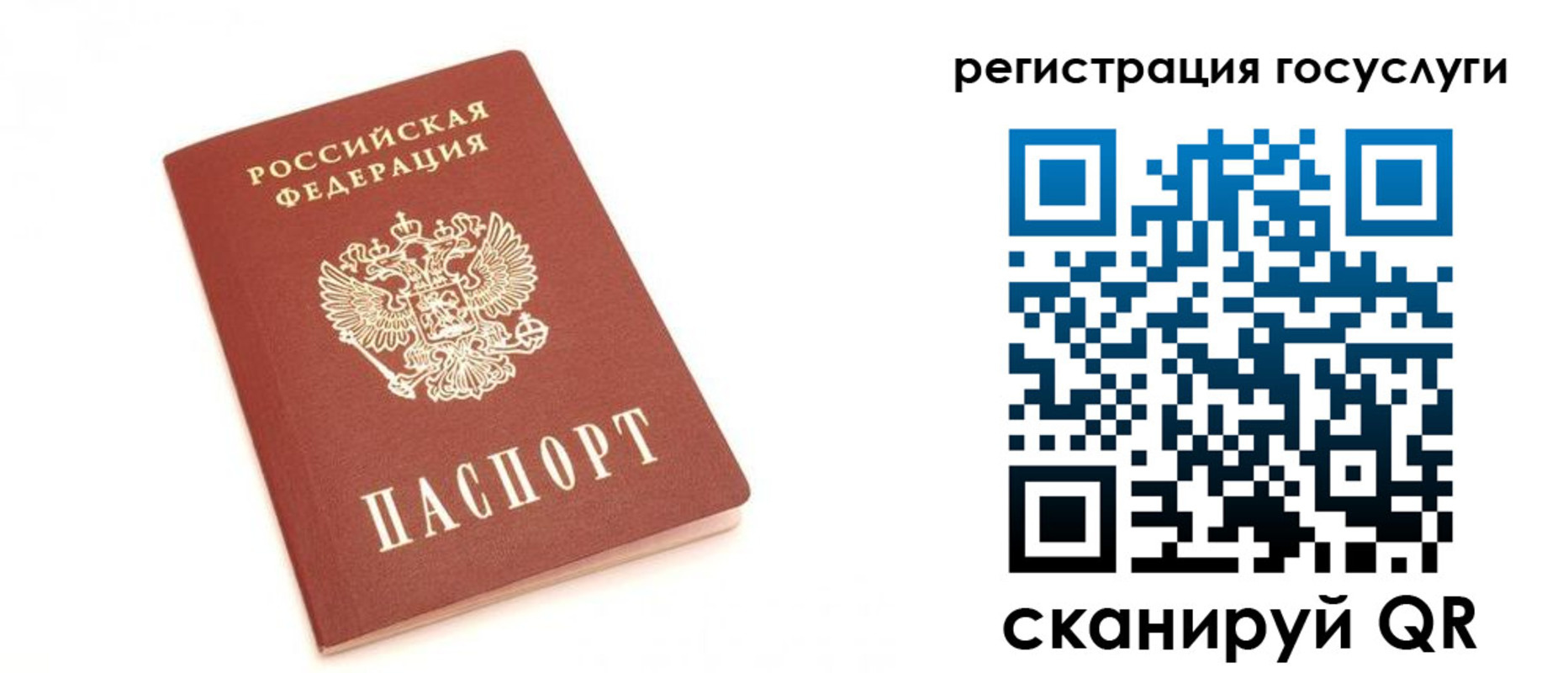 прописка для школы в Краснозаводске